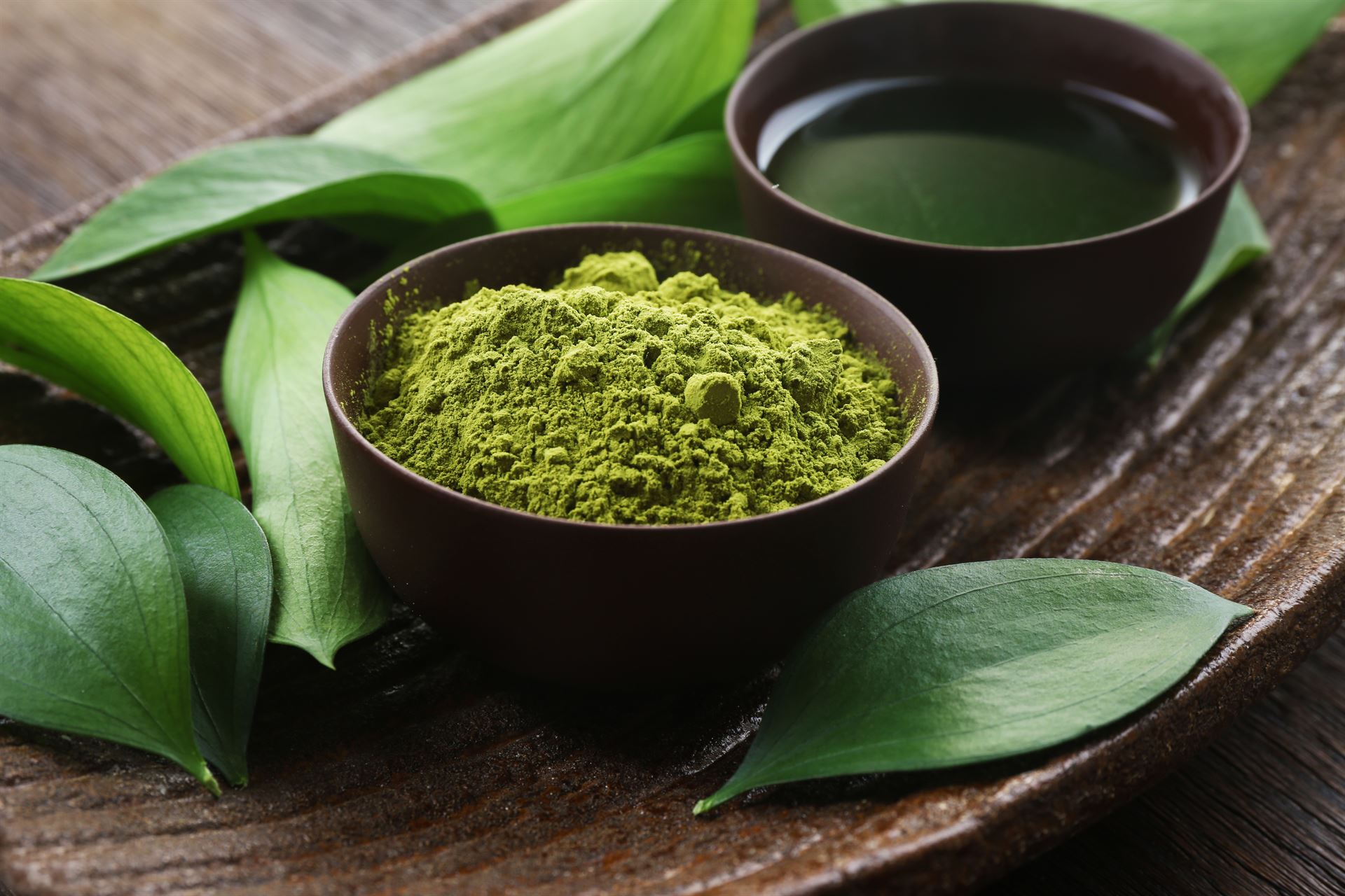 Le matcha : tout savoir sur cette boisson populaire au Japon